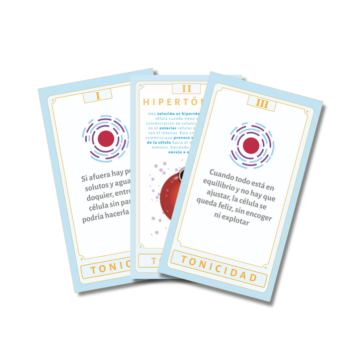 Flashcards animadas – Illustra Scilab